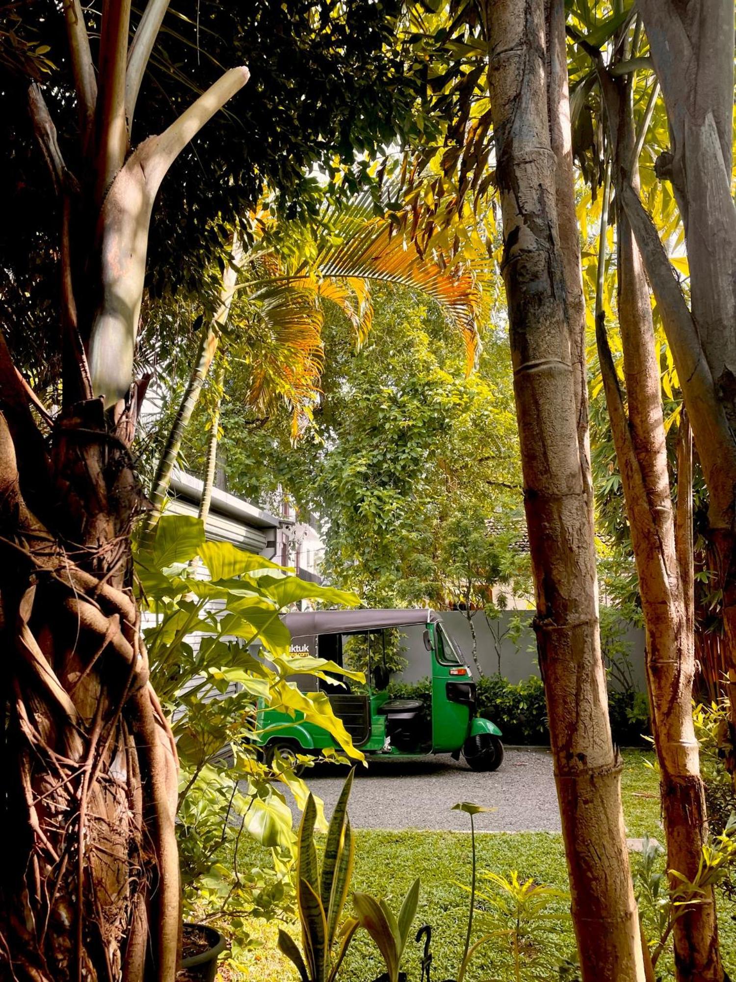 The Yard Hiriketiya Hotel Dikwella Ngoại thất bức ảnh